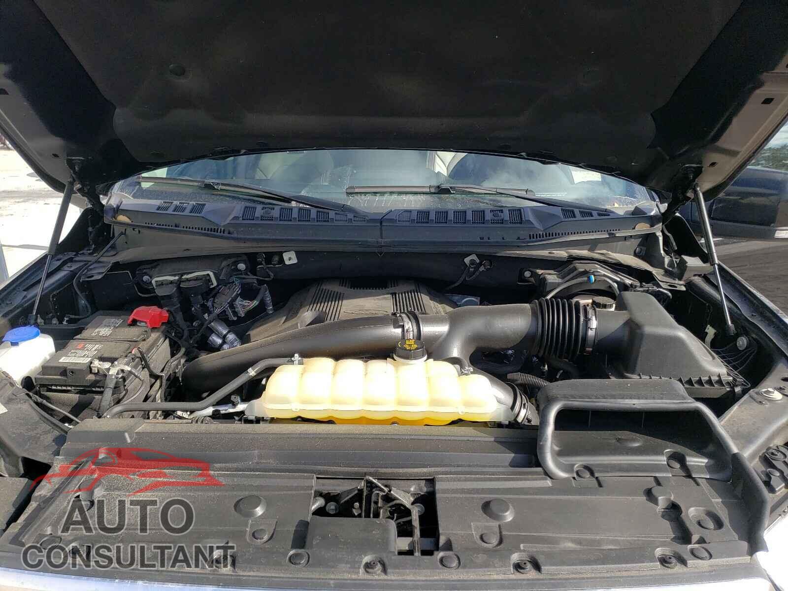 FORD F150 2019 - 1FTEW1EG8KFA92619