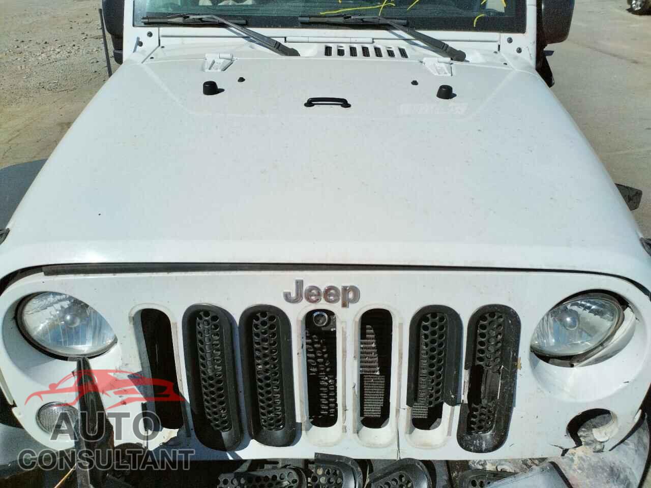 JEEP WRANGLER 2017 - 1C4HJWDG3HL753848