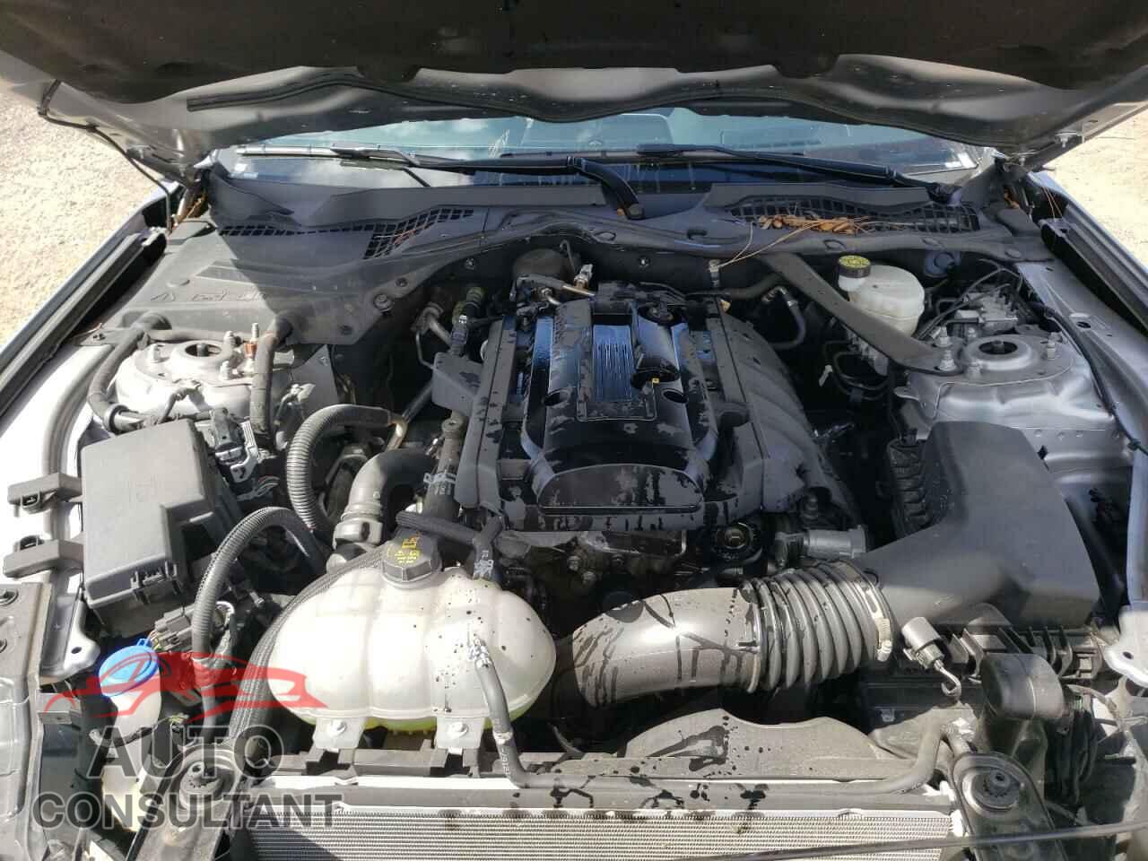 FORD MUSTANG 2020 - 1FATP8UH8L5136848