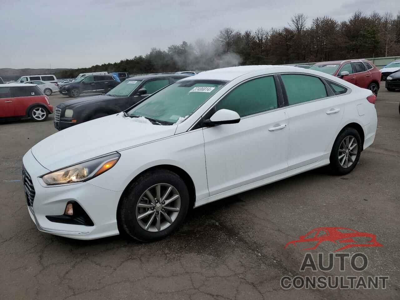 HYUNDAI SONATA 2019 - 5NPE24AF3KH781497