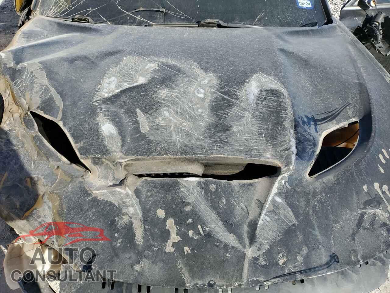 DODGE CHARGER 2019 - 2C3CDXJG1KH533287