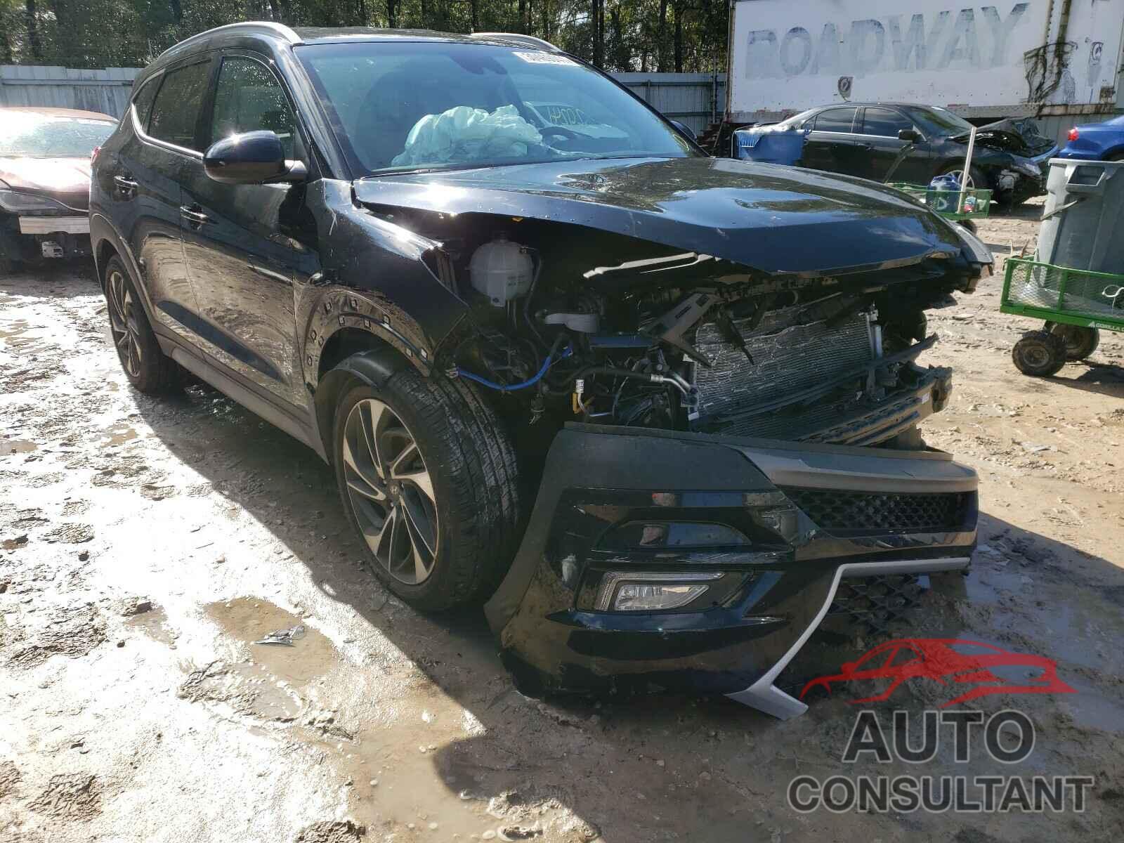 HYUNDAI TUCSON 2019 - KM8J33AL7KU891305