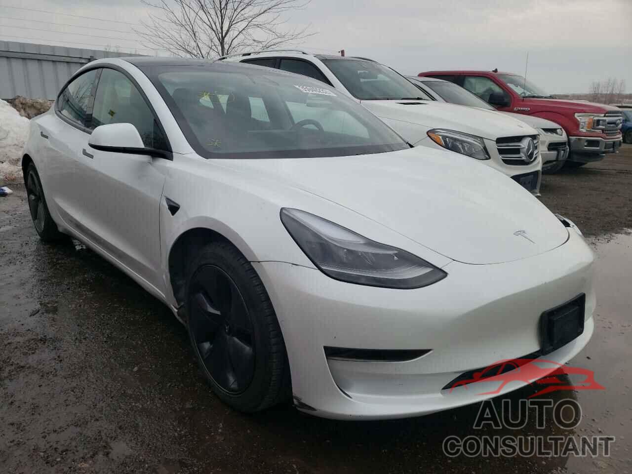 TESLA MODEL 3 2021 - 5YJ3E1EA3MF013533