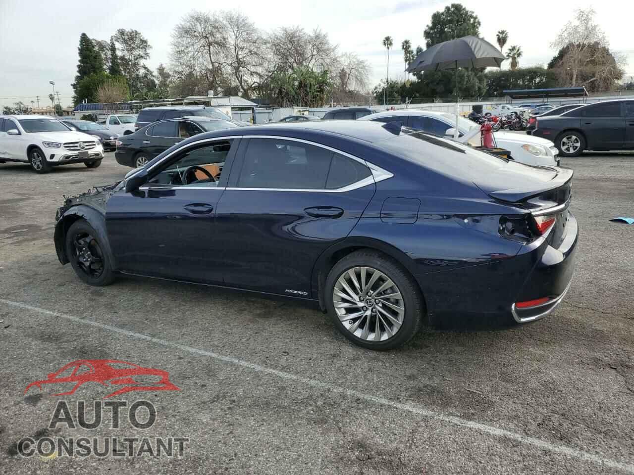 LEXUS ES300 2019 - JTHB21B19K2015102