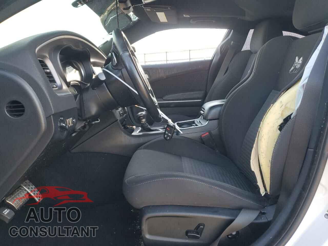 DODGE CHARGER 2019 - 2C3CDXGJ3KH554077