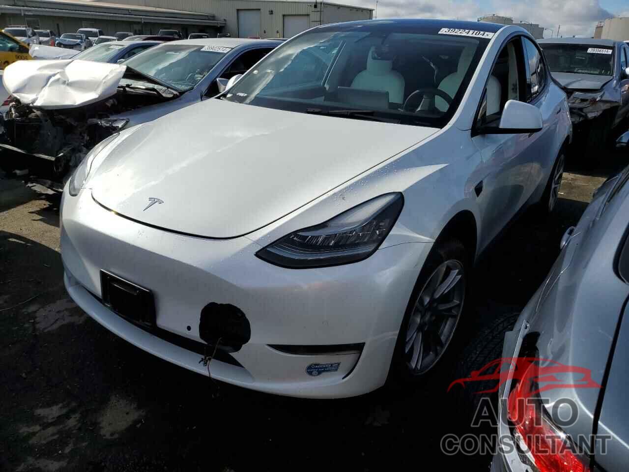 TESLA MODEL Y 2021 - 5YJYGDEE0MF093345