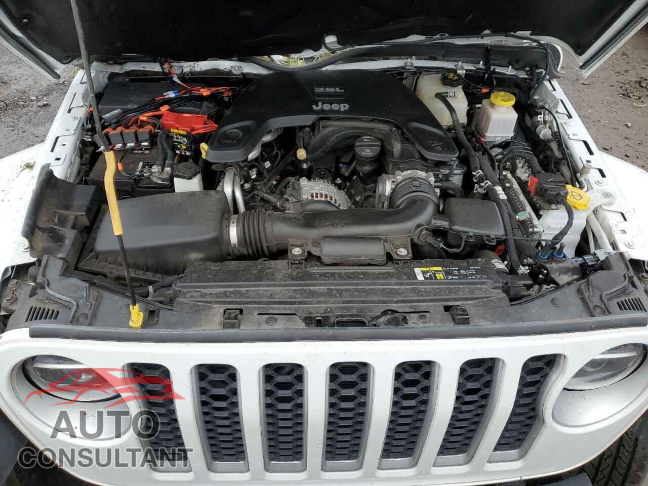 JEEP GLADIATOR 2020 - 1C6HJTFG9LL180868