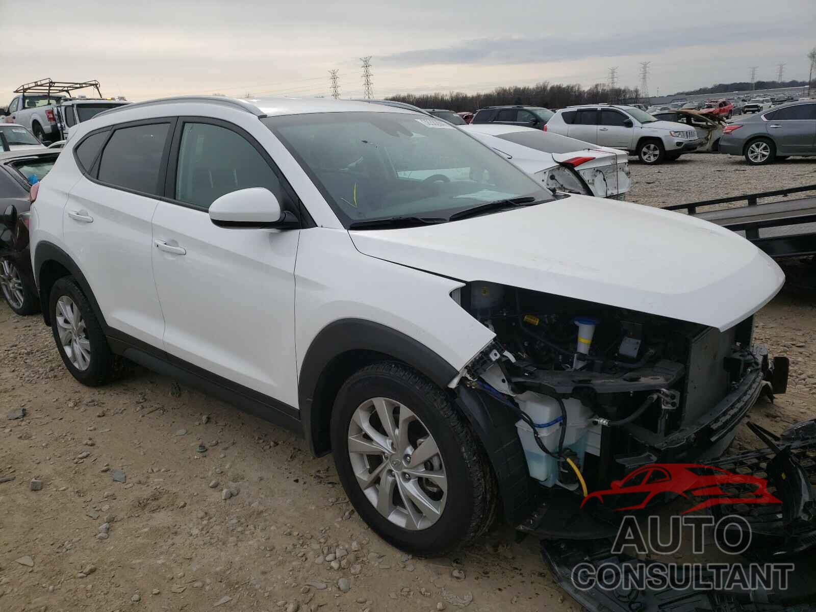 HYUNDAI TUCSON 2020 - KM8J33A41LU093943