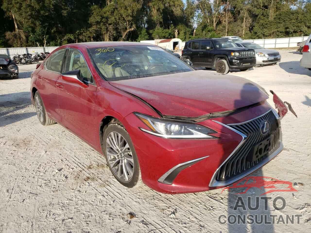 LEXUS ES300 2020 - 58AD21B18LU008534