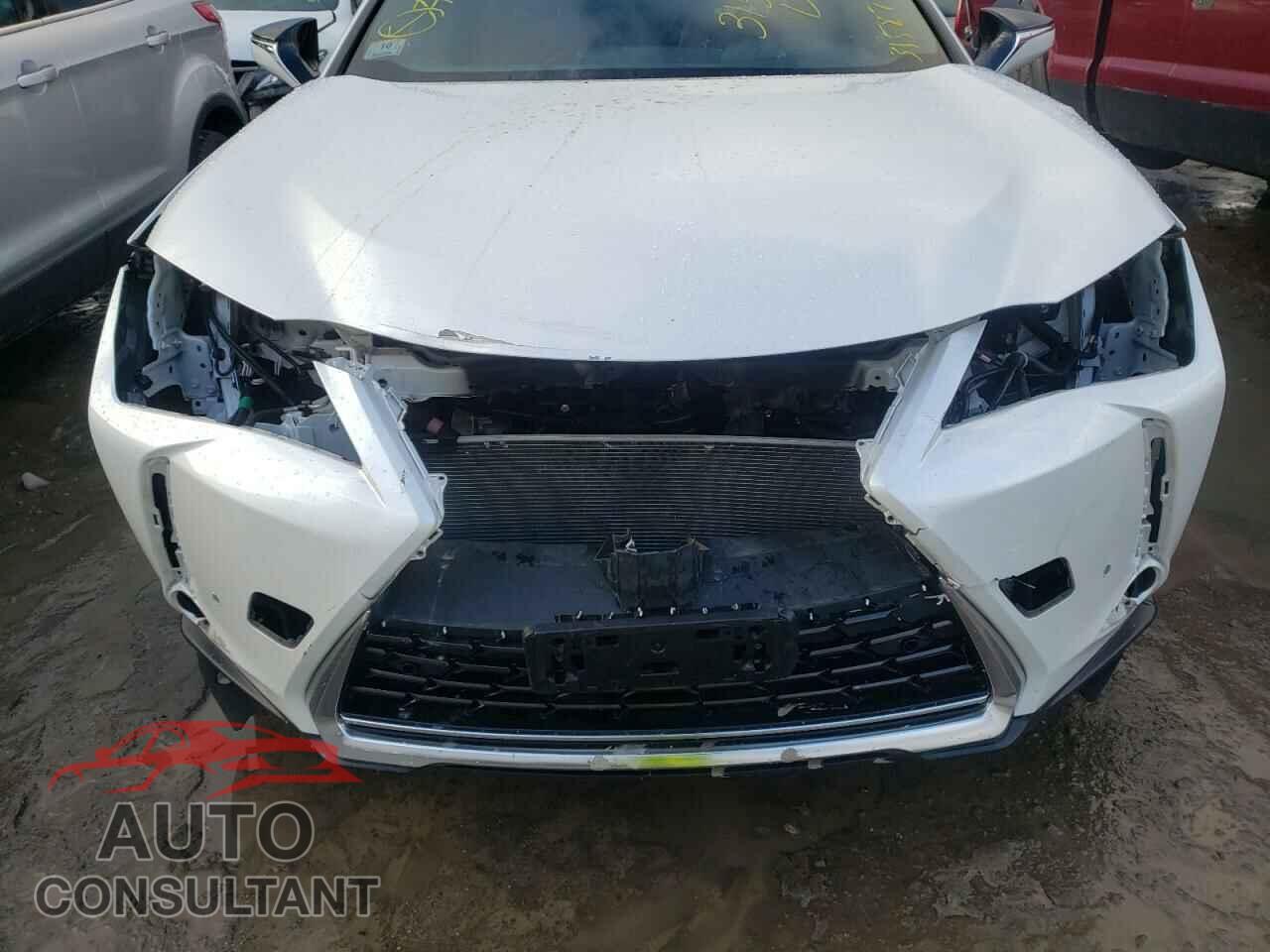 LEXUS UX 200 2019 - JTHY3JBHXK2016490