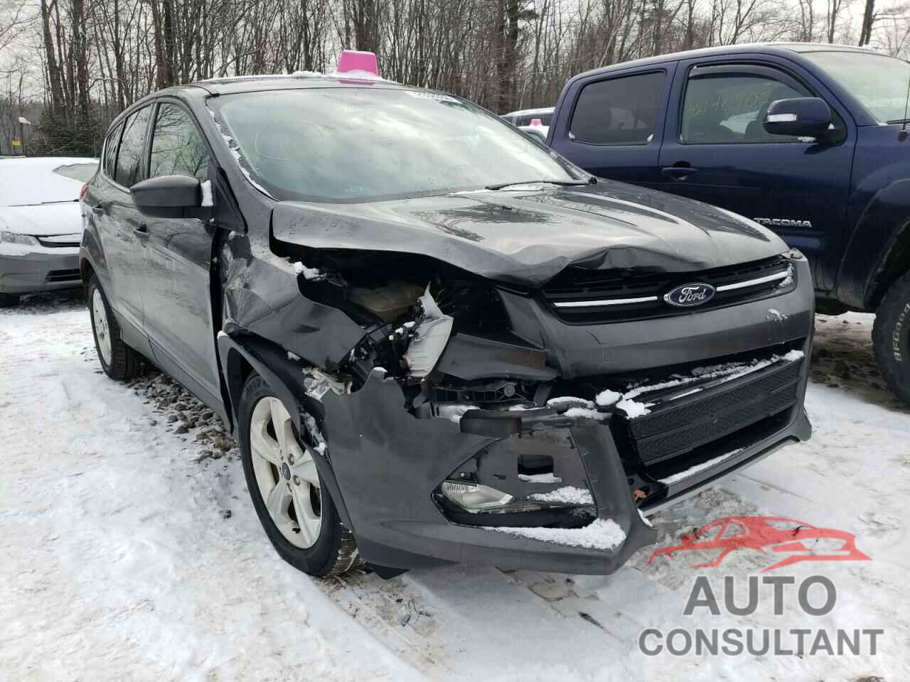 FORD ESCAPE 2016 - 1FMCU9GX6GUB64487