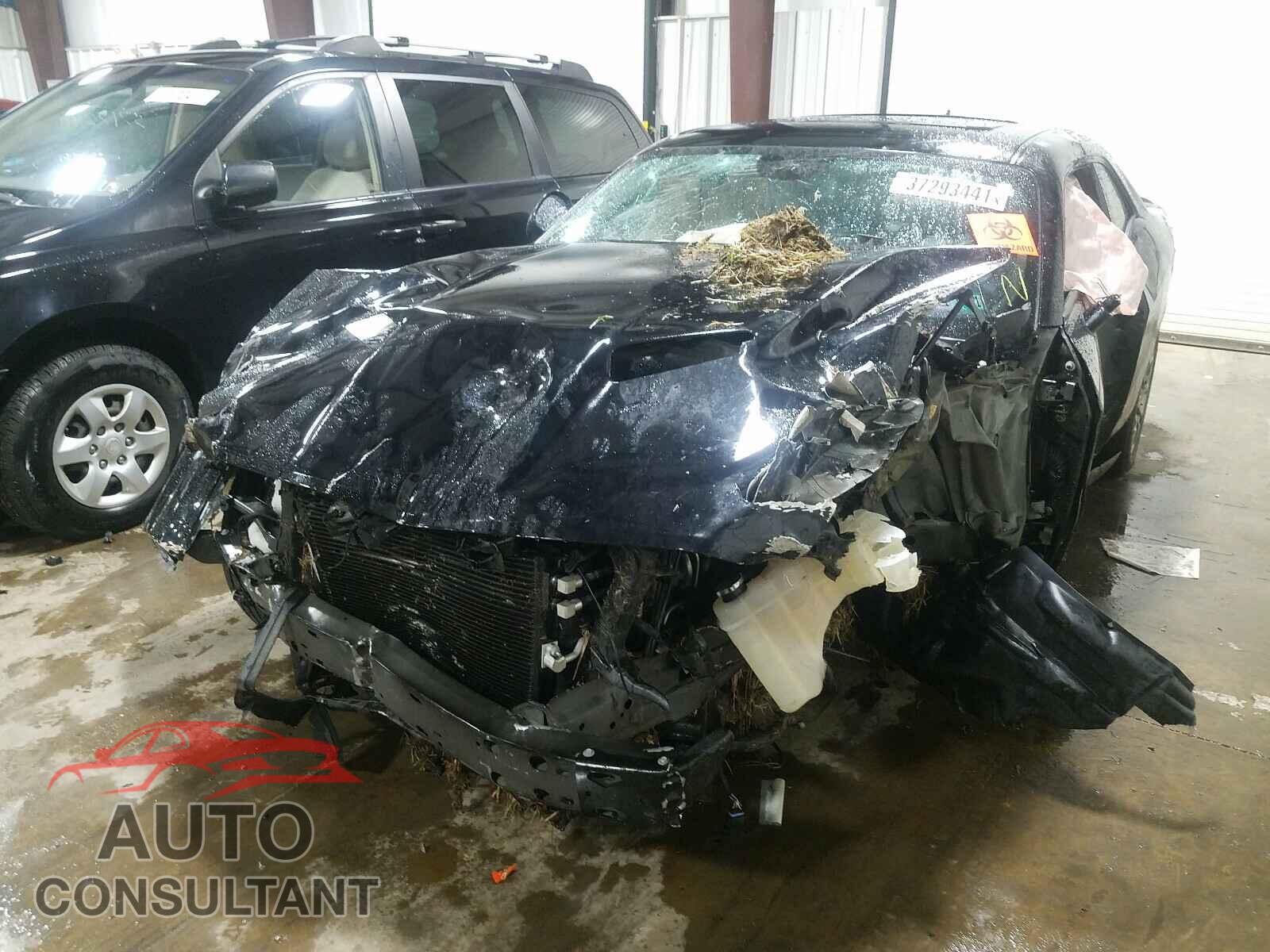 DODGE CHALLENGER 2017 - 2C3CDZGG9HH641118