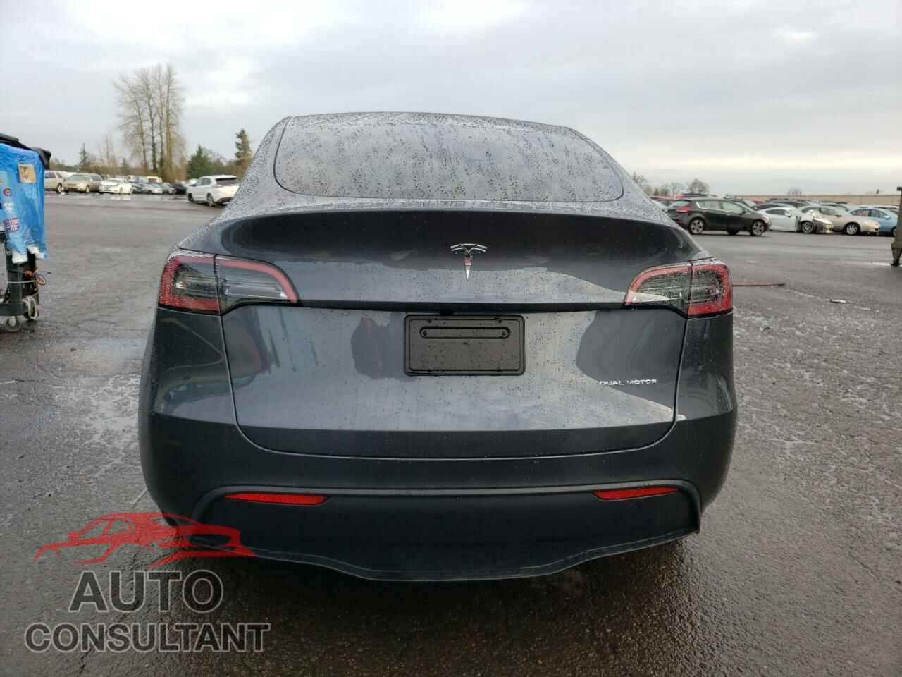 TESLA MODEL Y 2023 - 7SAYGDEE6PF886446