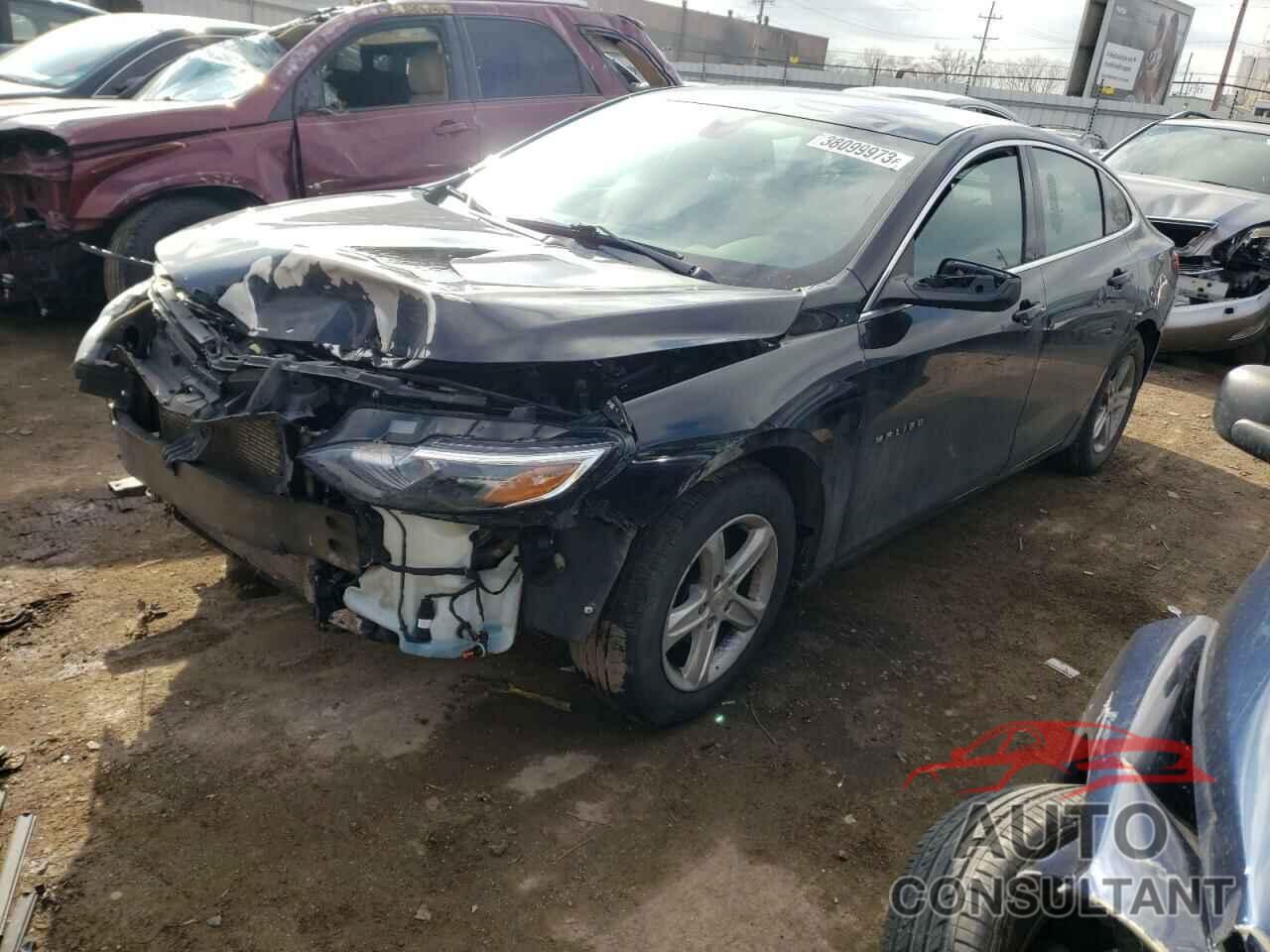 CHEVROLET MALIBU 2019 - 1G1ZB5ST1KF225820