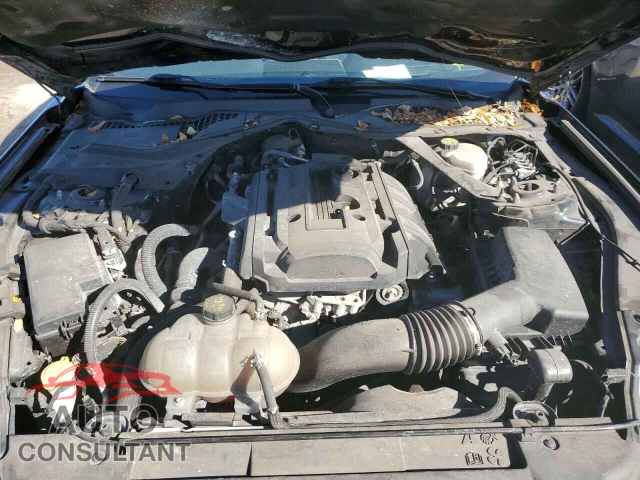 FORD MUSTANG 2019 - 1FATP8UH4K5120306