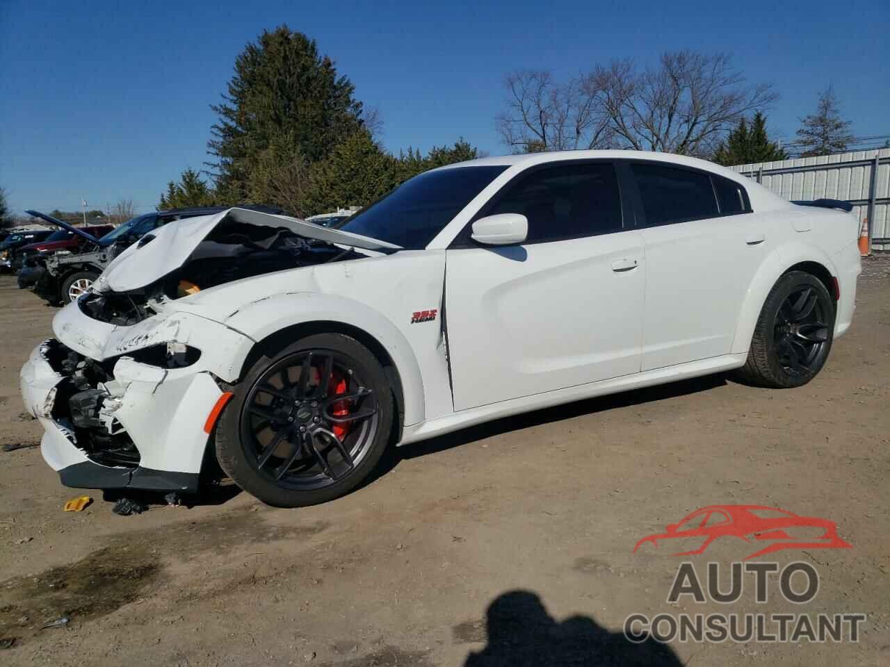DODGE CHARGER 2020 - 2C3CDXGJ4LH190995