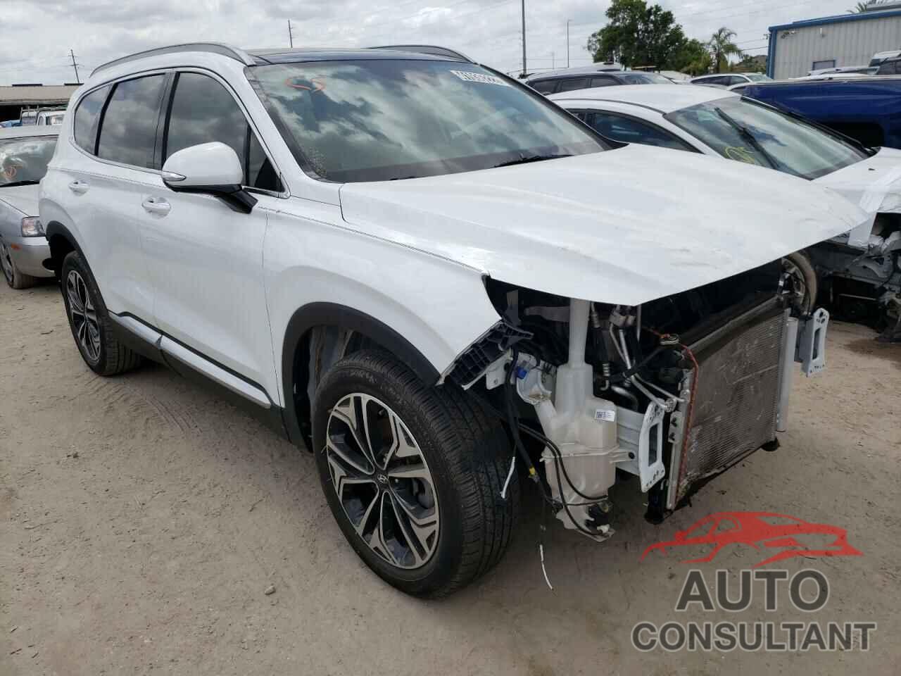HYUNDAI SANTA FE 2019 - 5NMS53AA6KH090471
