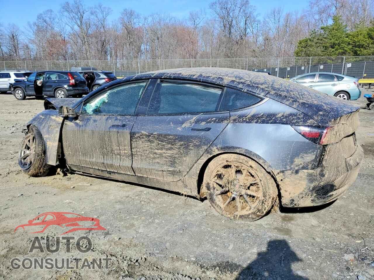 TESLA MODEL 3 2021 - 5YJ3E1EB5MF019570