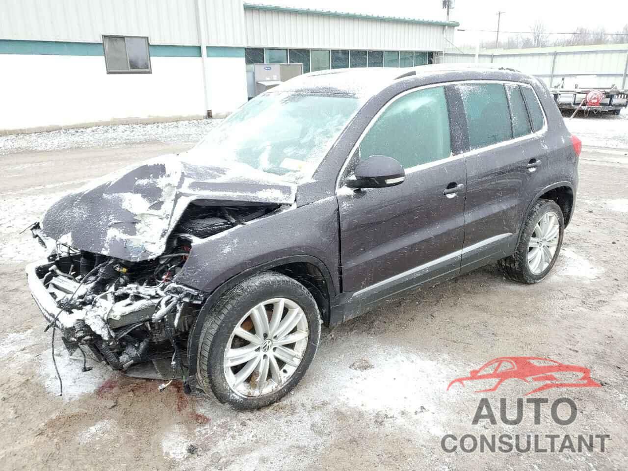 VOLKSWAGEN TIGUAN 2016 - WVGBV7AX7GW507141