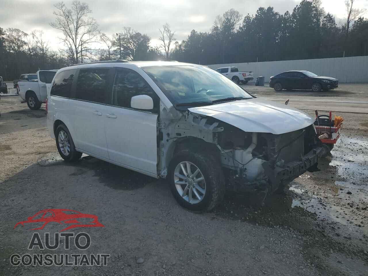 DODGE CARAVAN 2019 - 2C4RDGCG3KR717109
