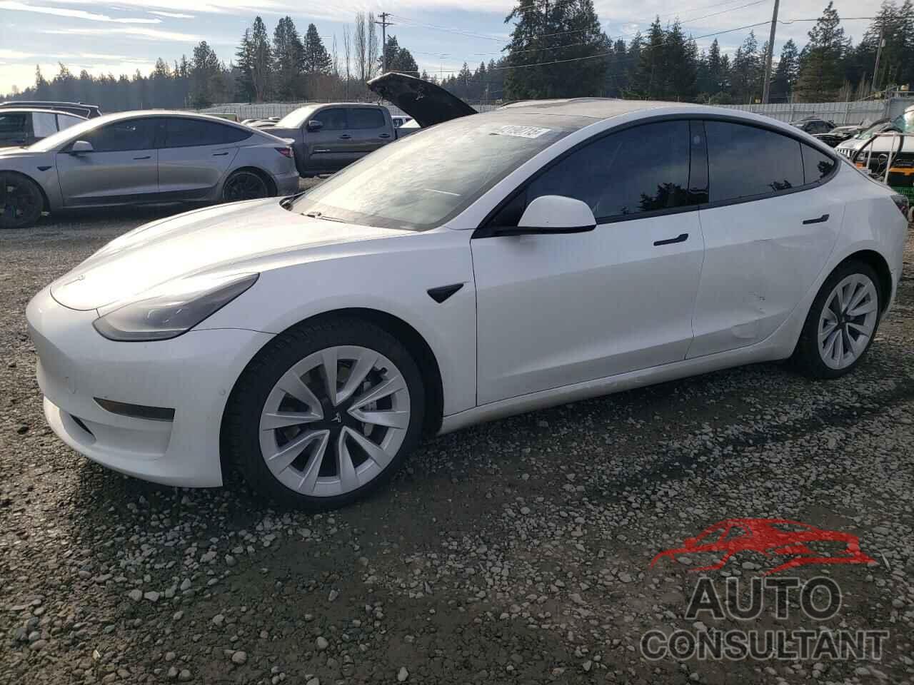 TESLA MODEL 3 2021 - 5YJ3E1EA8MF028044