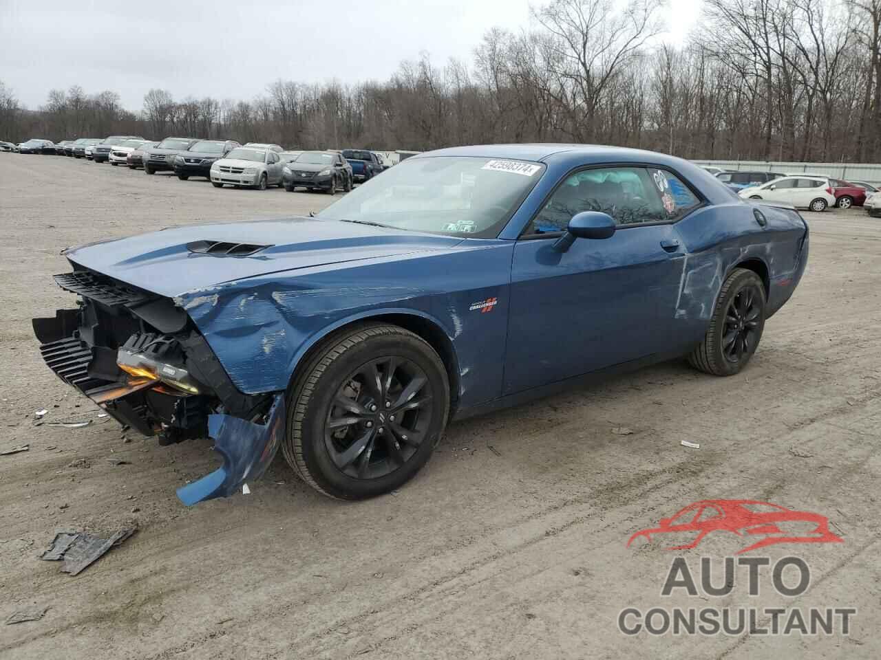 DODGE CHALLENGER 2022 - 2C3CDZGGXNH182399