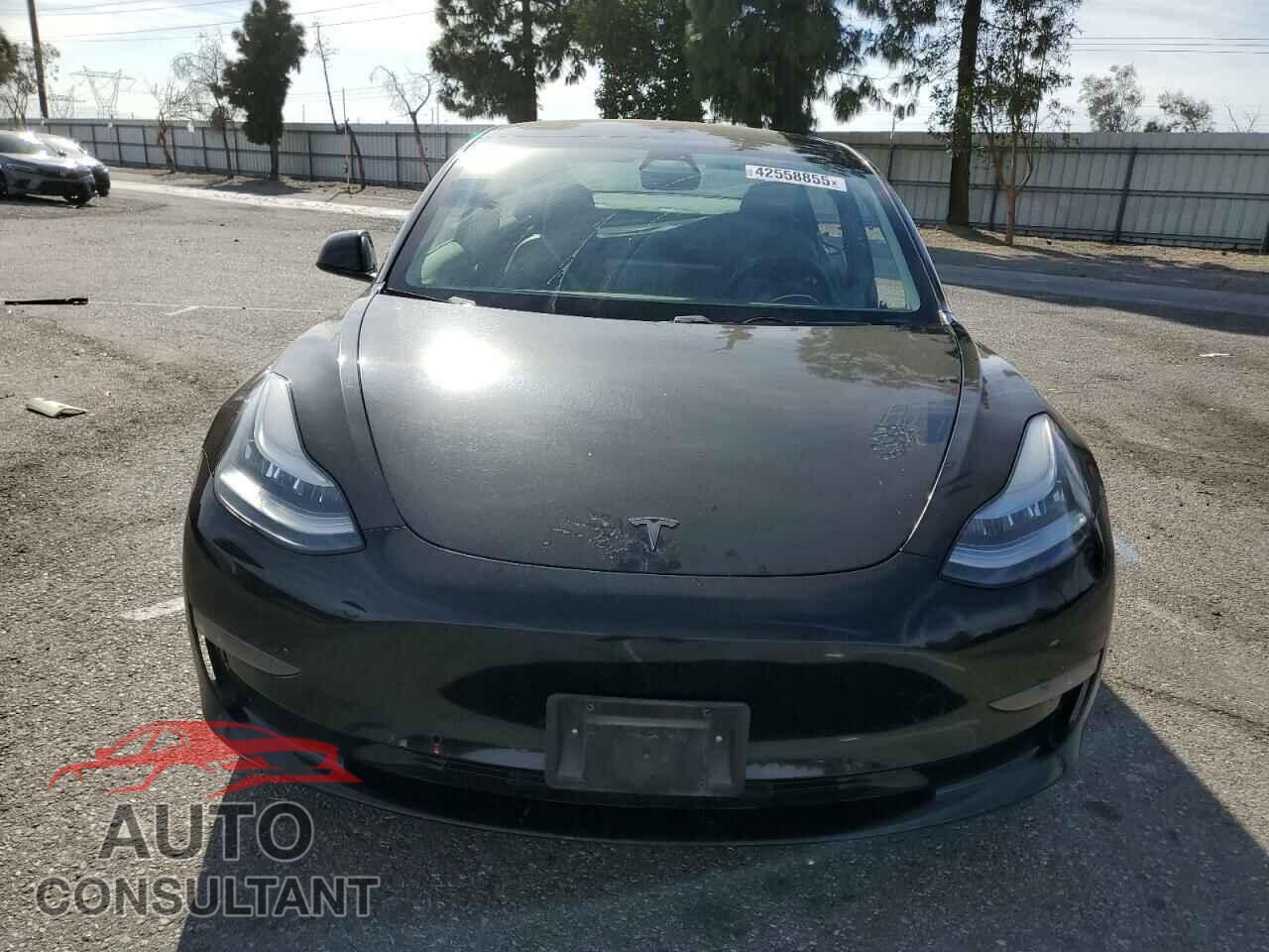 TESLA MODEL 3 2019 - 5YJ3E1EA6KF361663