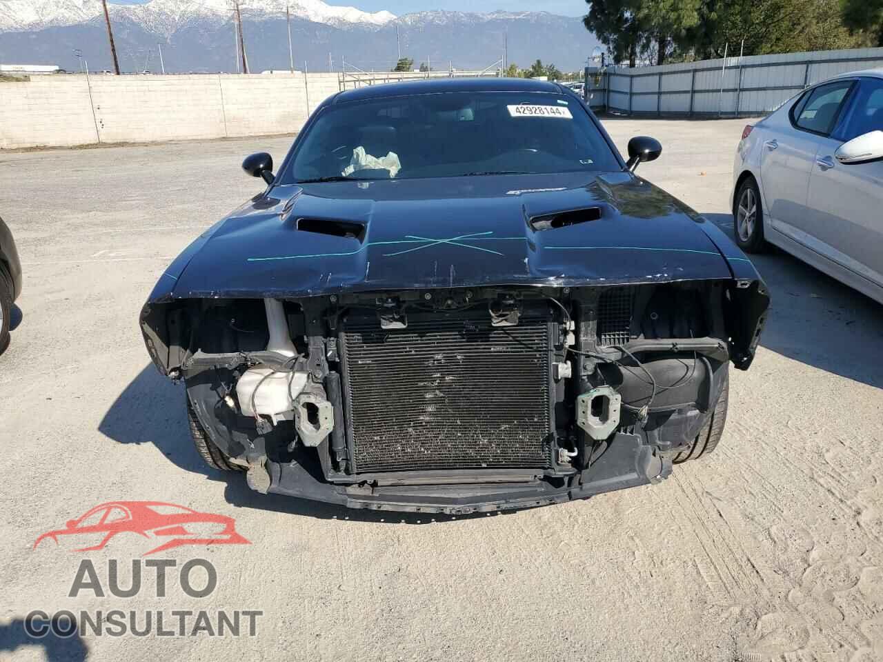 DODGE CHALLENGER 2017 - 2C3CDZAG5HH516920