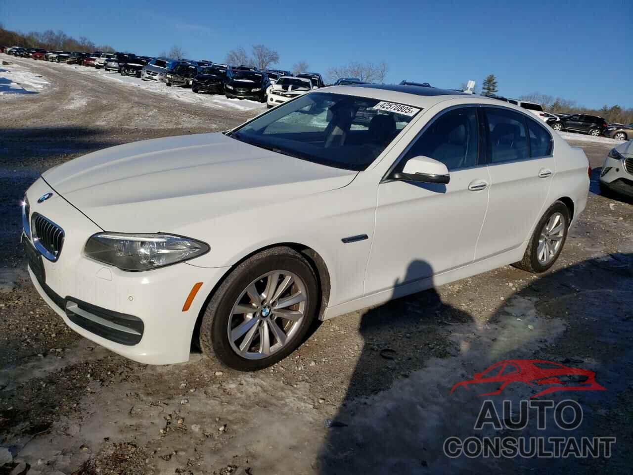 BMW 5 SERIES 2014 - WBA5A7C59ED619681