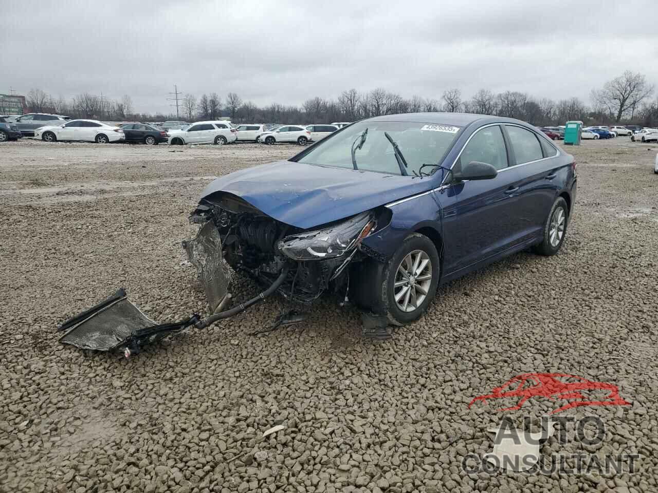 HYUNDAI SONATA 2019 - 5NPE24AF8KH782810