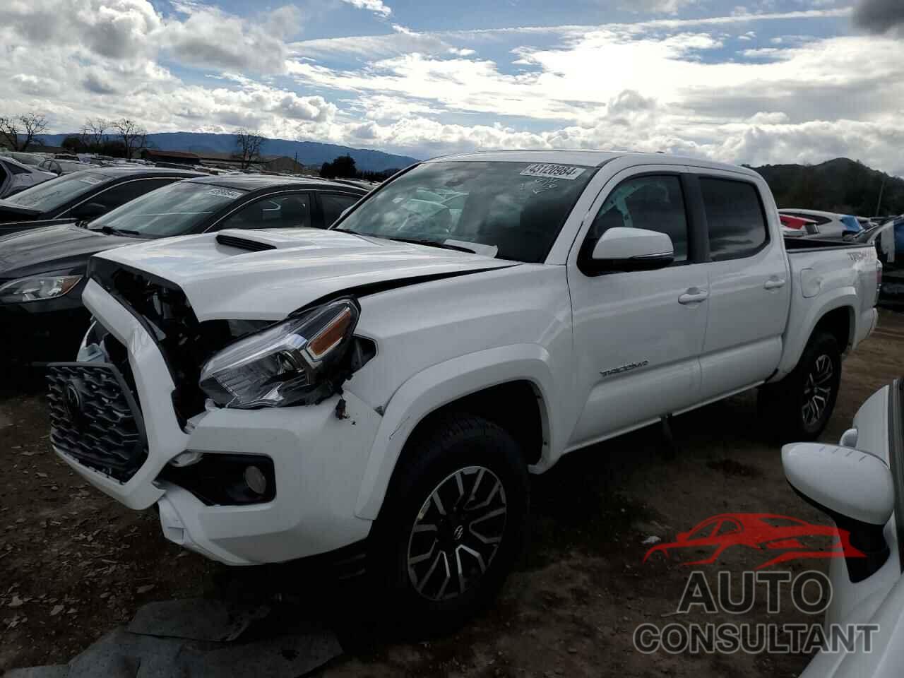 TOYOTA TACOMA 2023 - 3TMCZ5AN6PM646631