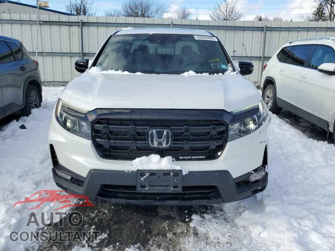 HONDA RIDGELINE 2024 - 5FPYK3F83RB001368