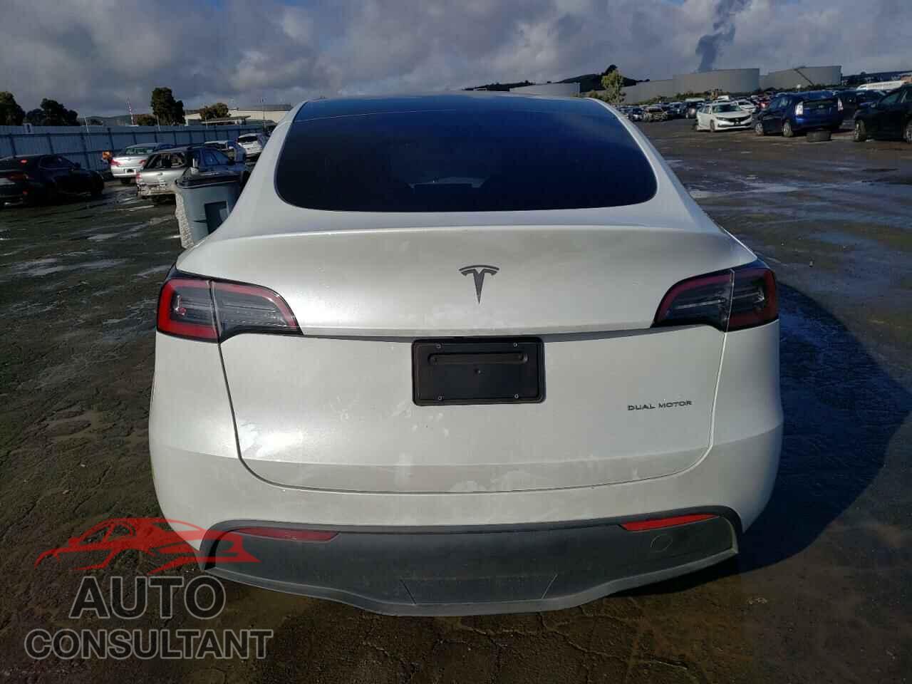 TESLA MODEL Y 2023 - 7SAYGDEE6PF594179