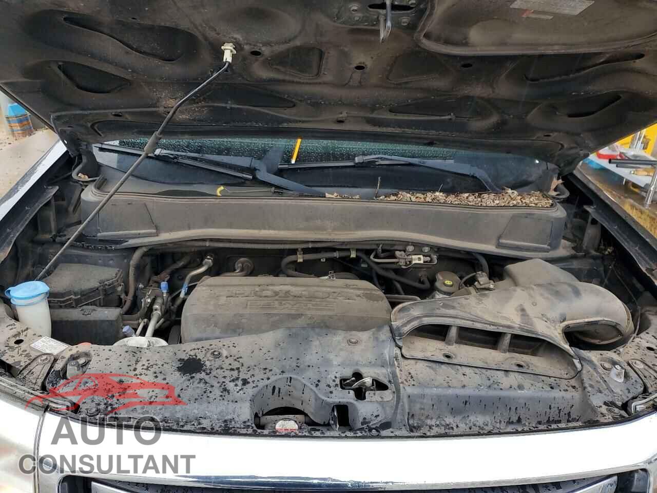 HONDA PILOT 2014 - 5FNYF3H26EB016835