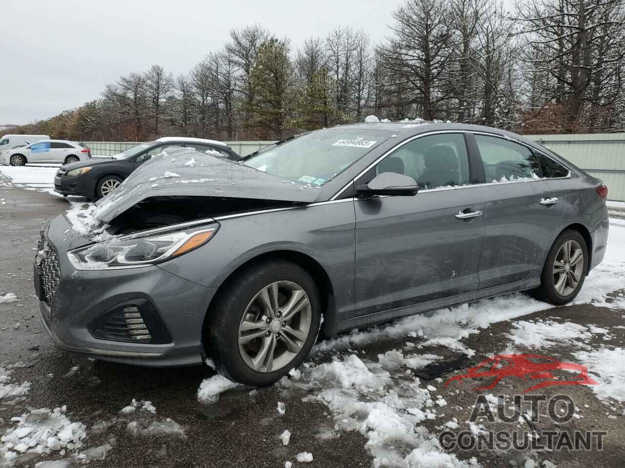 HYUNDAI SONATA 2019 - 5NPE34AF0KH814288