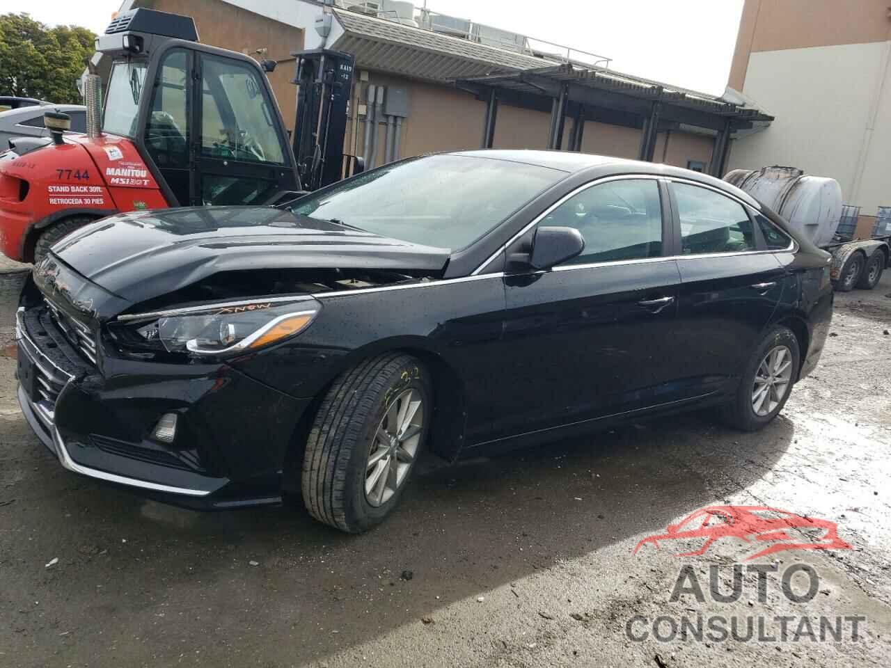 HYUNDAI SONATA 2019 - 5NPE24AFXKH735696