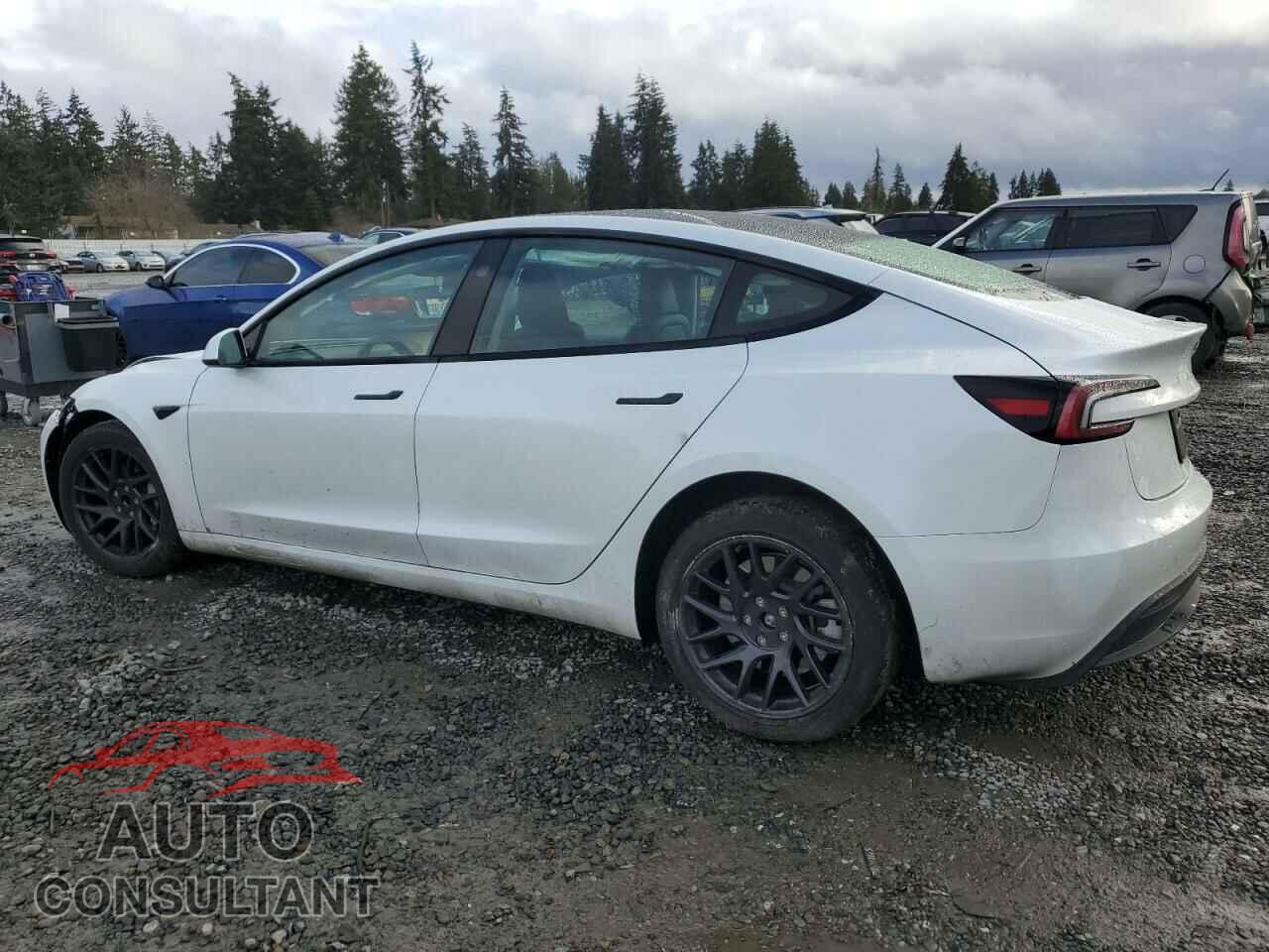 TESLA MODEL 3 2024 - 5YJ3E1EA4RF745841