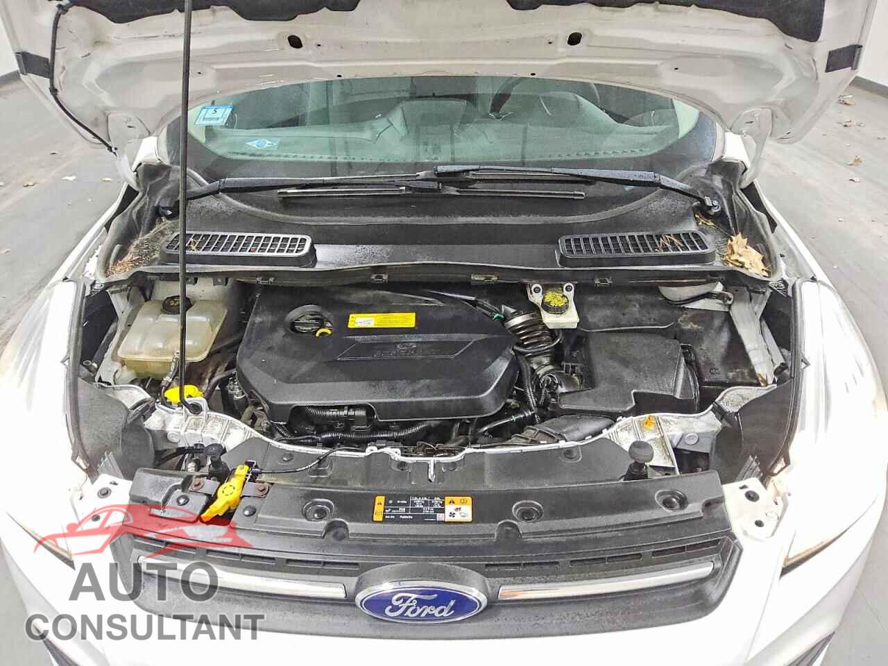 FORD ESCAPE 2016 - 1FMCU9GX7GUC16502