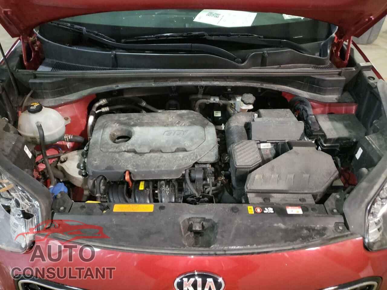 KIA SPORTAGE 2019 - KNDPMCAC4K7579355