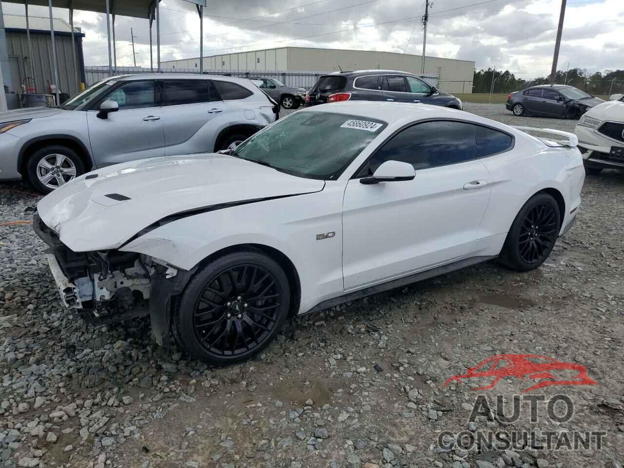 FORD MUSTANG 2019 - 1FA6P8CF2K5173597