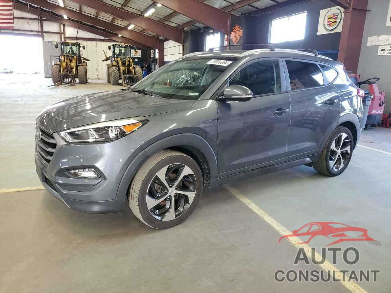 HYUNDAI TUCSON 2016 - KM8J3CA25GU070315