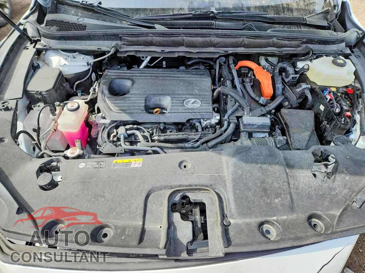 LEXUS UNKNOWN 2024 - 2T2BBMCA6RC034652
