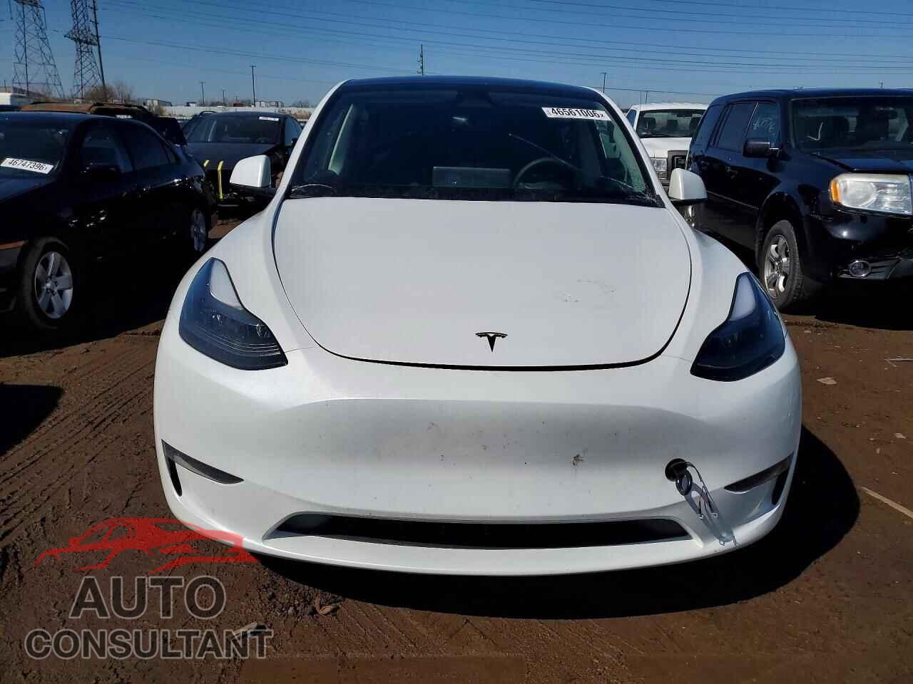 TESLA MODEL Y 2023 - 7SAYGDEE6PF802111