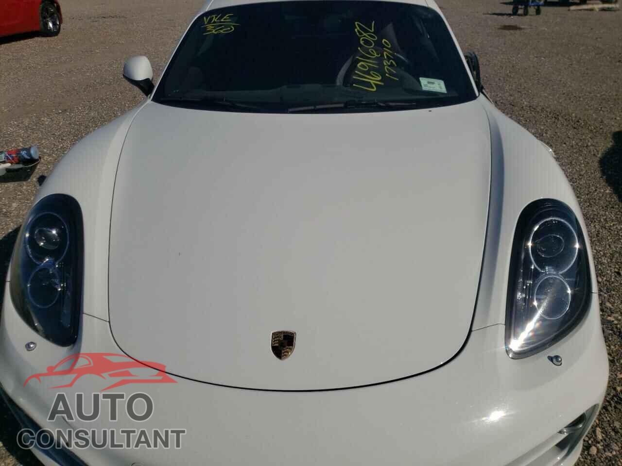 PORSCHE CAYMAN 2014 - WP0AA2A89EK173710