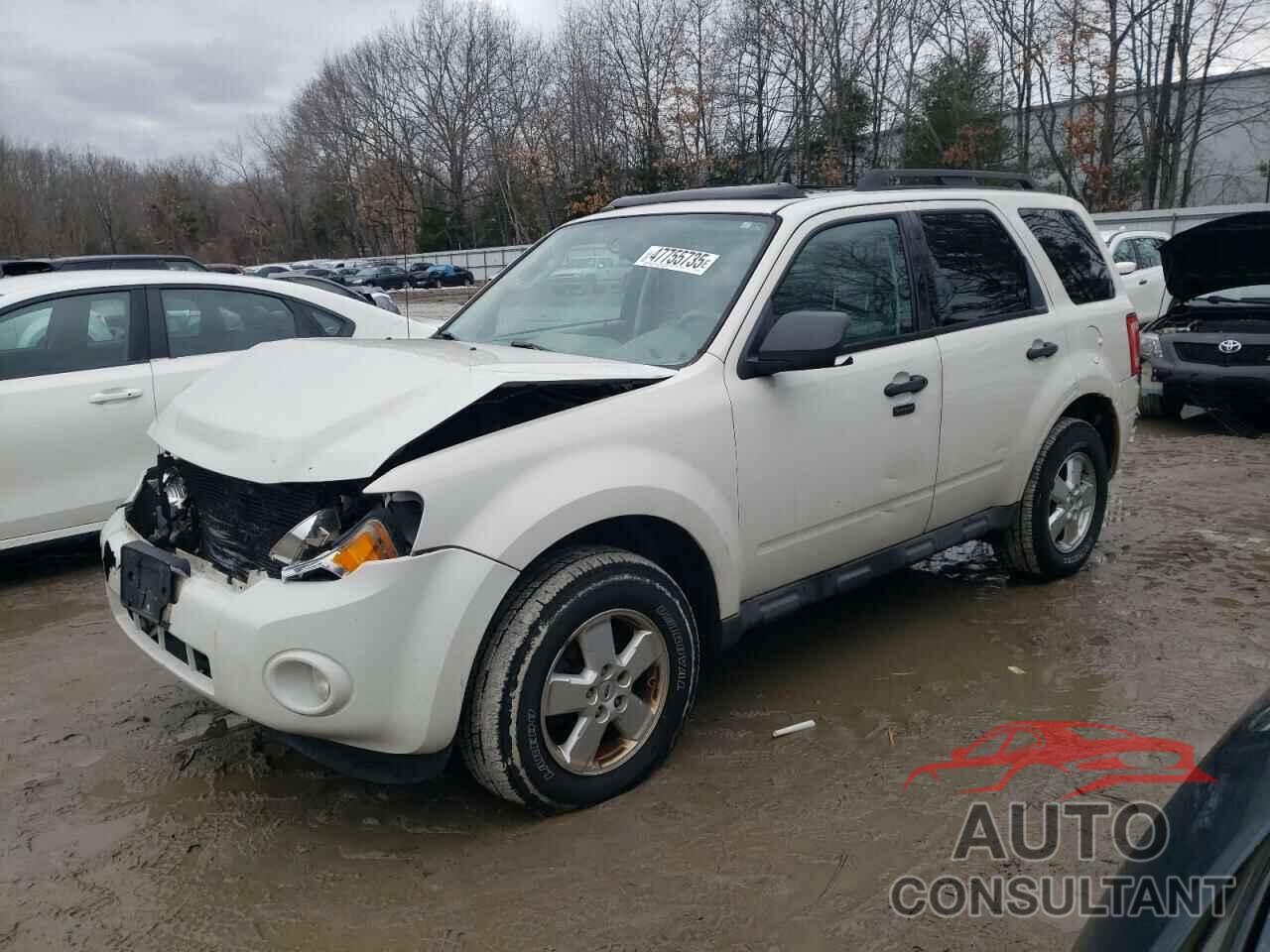 FORD ESCAPE 2010 - 1FMCU9DGXAKC06439