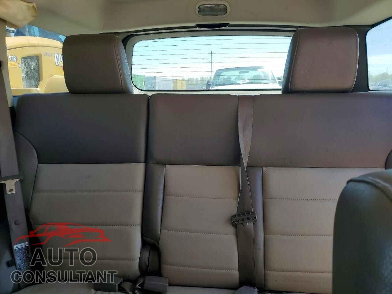 DODGE NITRO 2010 - 1D4PU7GX2AW163619