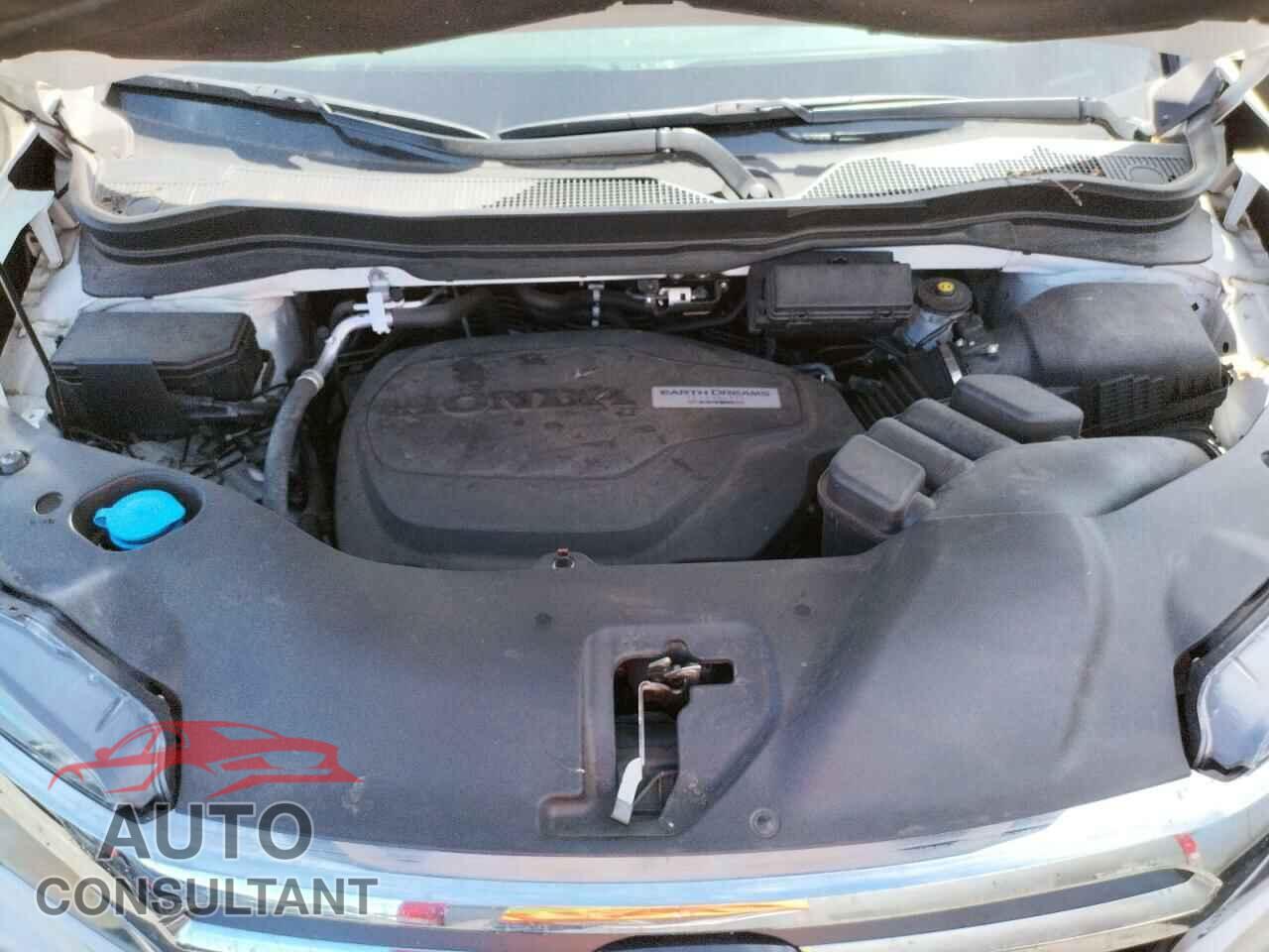 HONDA RIDGELINE 2019 - 5FPYK3F7XKB007570