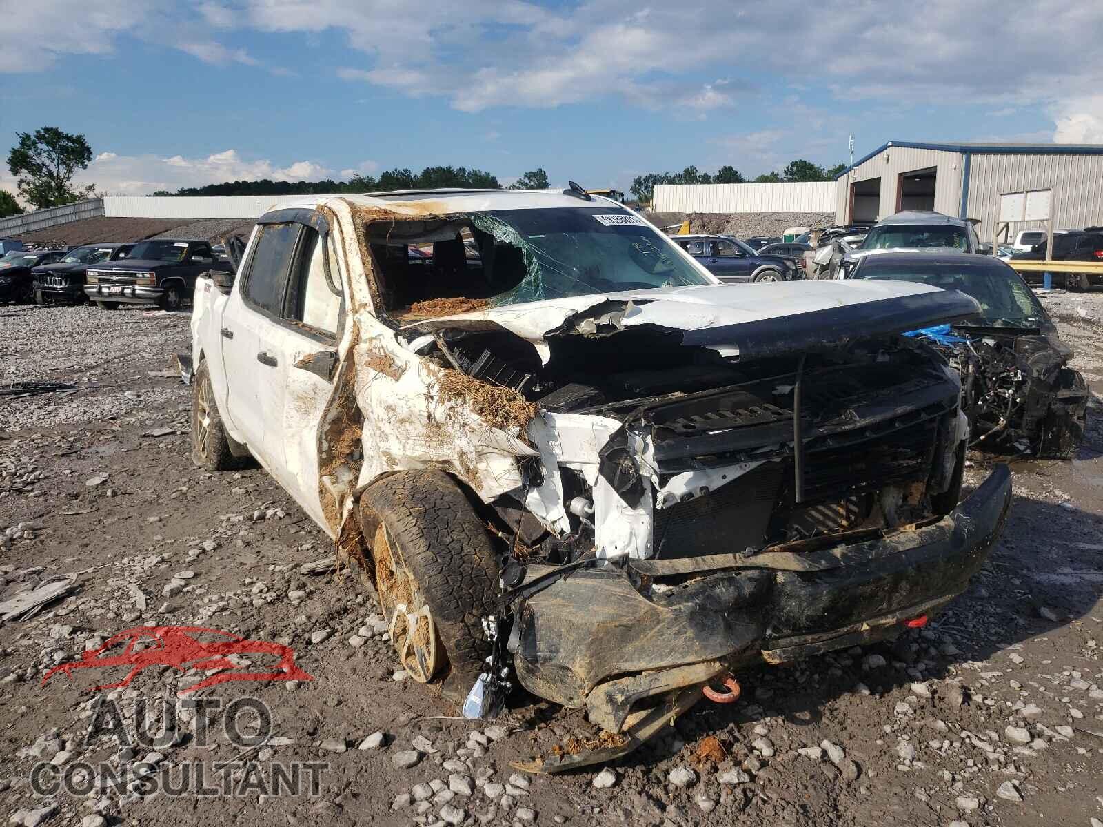 CHEVROLET SILVERADO 2020 - 1GCPYFED4LZ202829