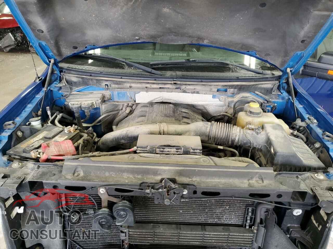FORD F-150 2013 - 1FTFW1ET4DFD20376
