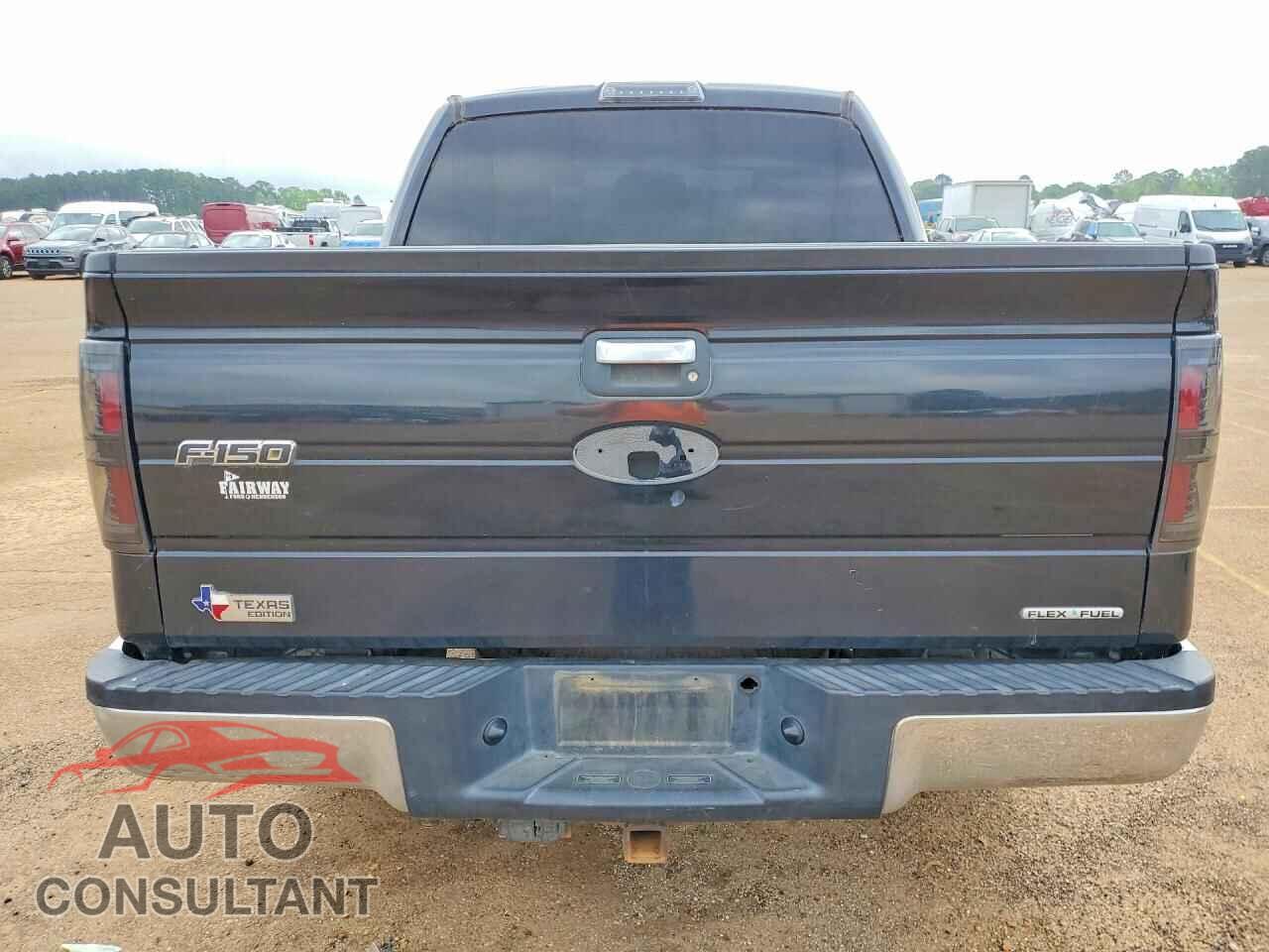 FORD F150 2011 - 1FTFW1CF0BFA51156